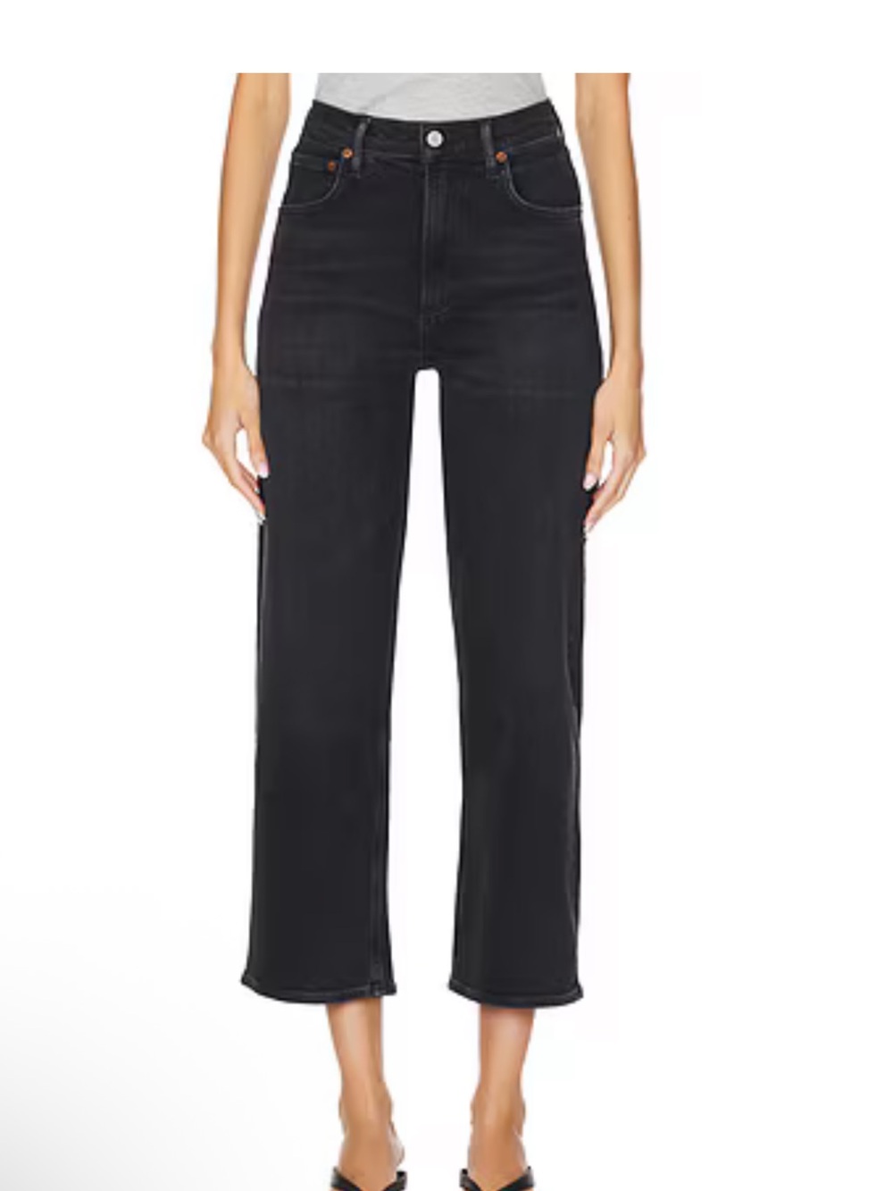 Agolde Ren: High Rise Wide Leg Jeans color Hush size 29